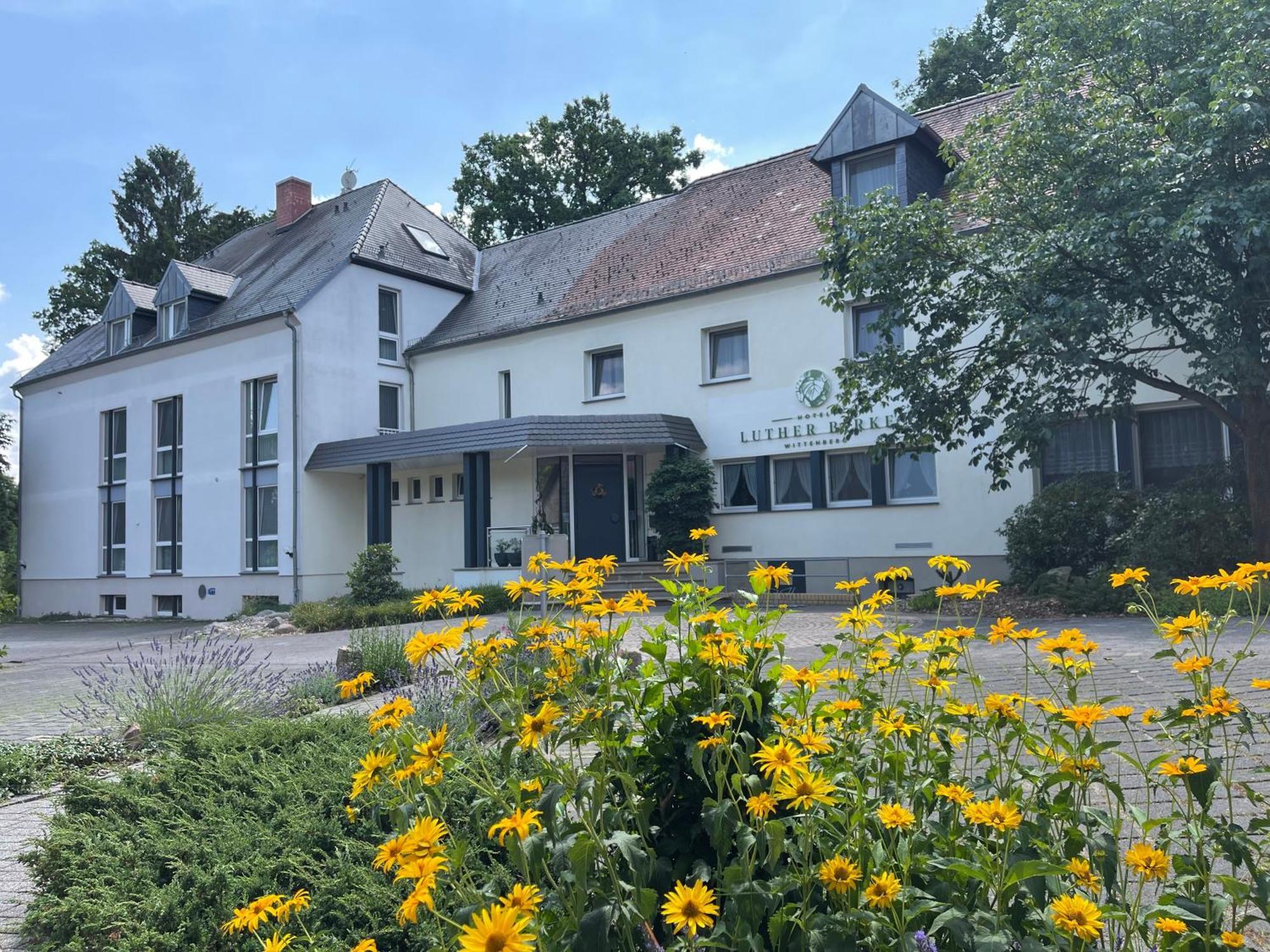 Hotel Luther Birke Wittenberg Экстерьер фото